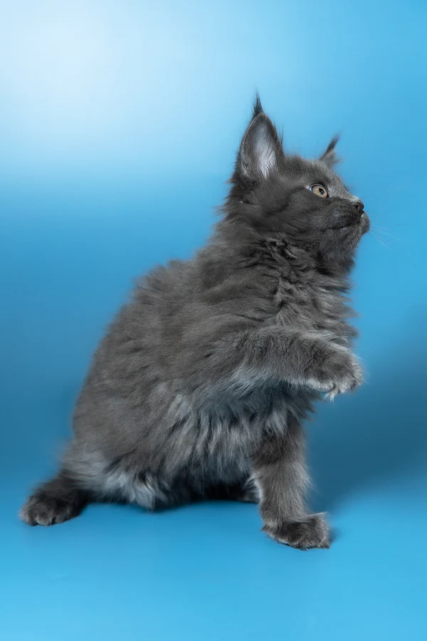 8_Winston_3112009_600x