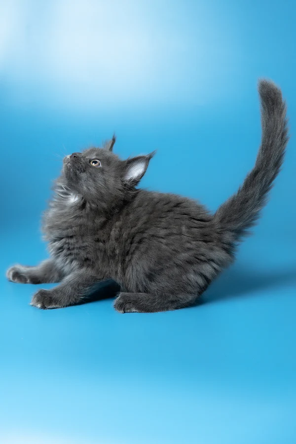 8_Winston_3112012_600x