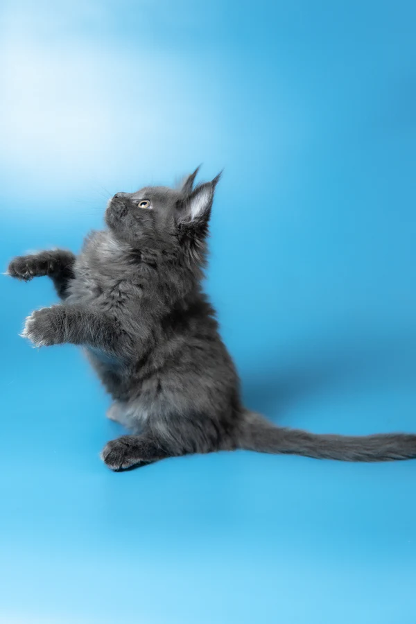 8_Winston_3112014_600x